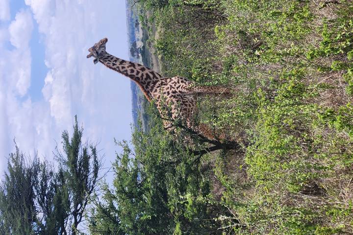 Itinerary Image 3