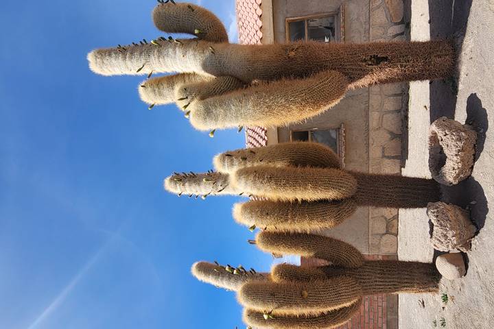 Itinerary Image 3