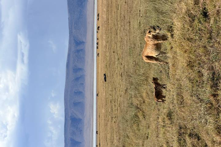 Itinerary Image 3
