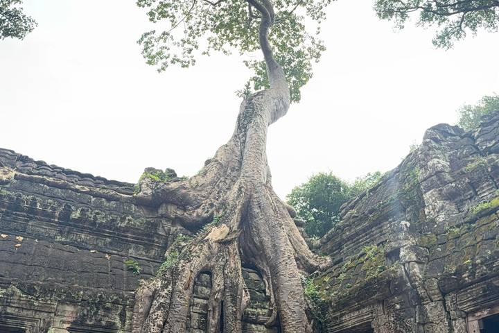 Itinerary Image 3