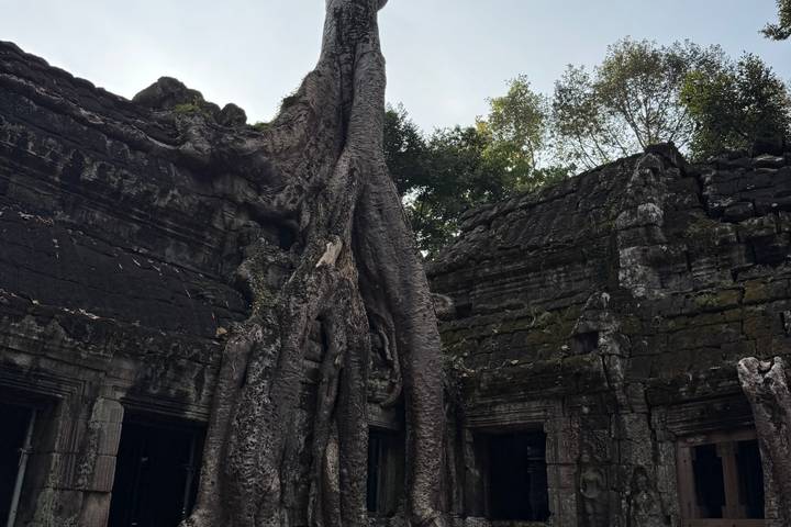 Itinerary Image 2