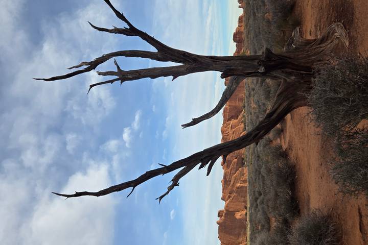 Itinerary Image 3