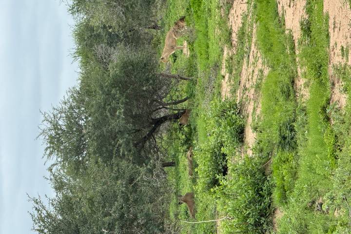 Itinerary Image 2
