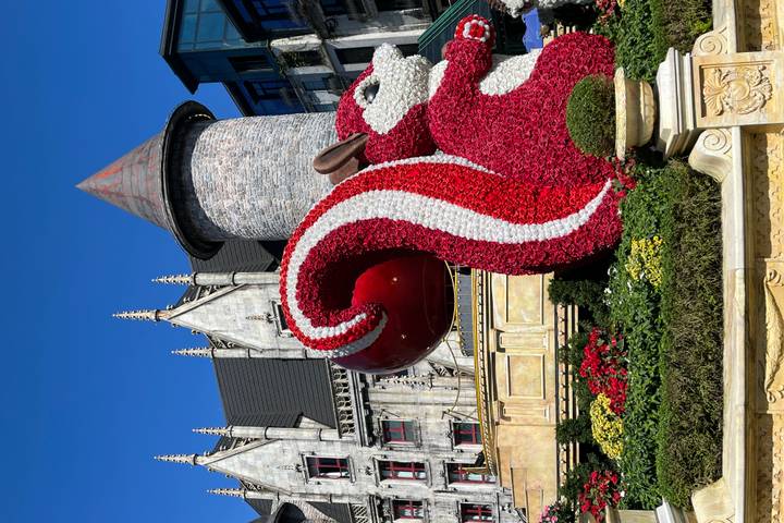 Itinerary Image 1