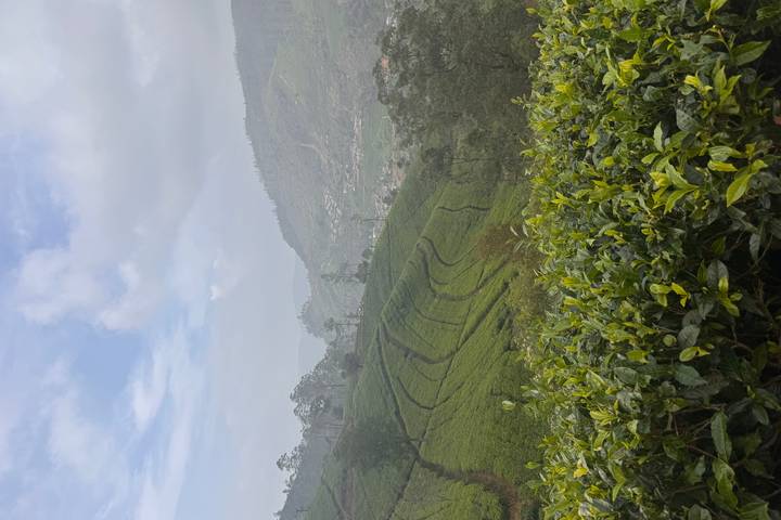 Itinerary Image 1