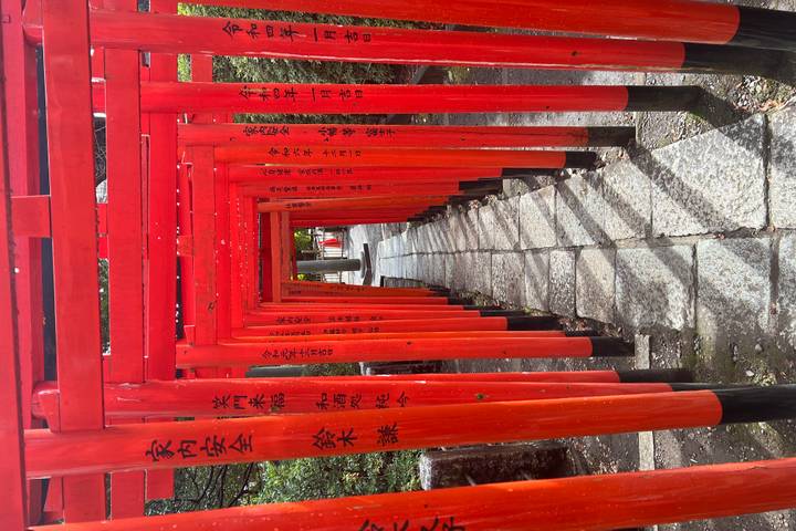 Itinerary Image 8