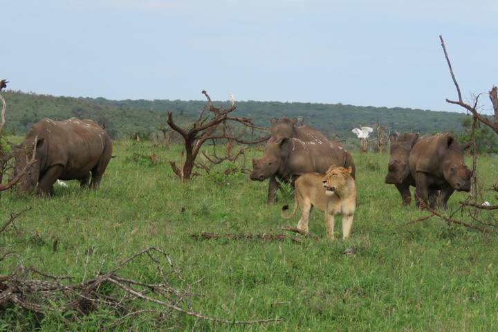 Itinerary Image 2