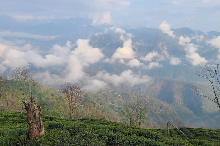 Itinerary Image 2