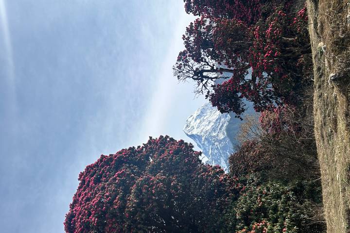 Itinerary Image 1