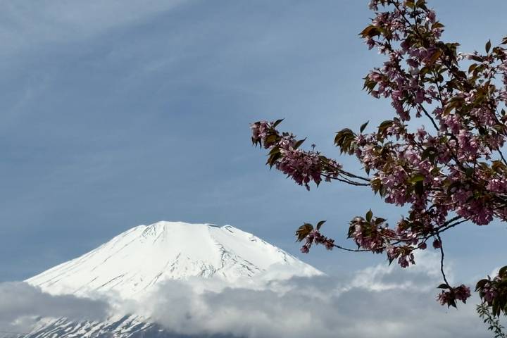 9D Splendid Japan-Private 3 Star Hotels-Osaka to Tokyo by Stunning