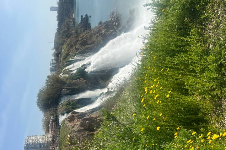 Itinerary Image 2