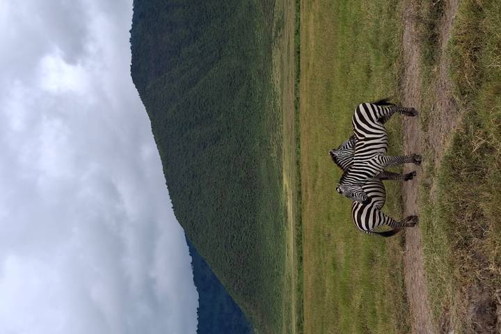 Itinerary Image 2