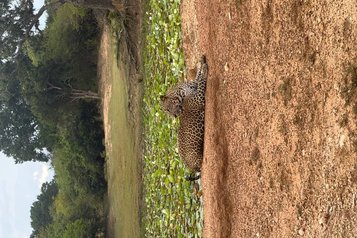 Itinerary Image 1