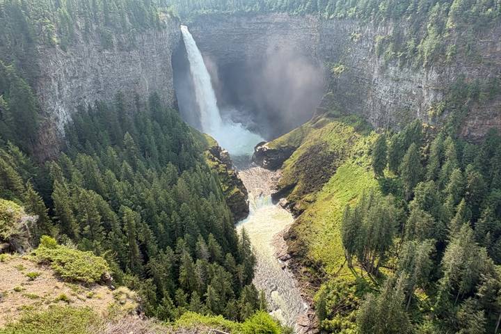Waterfall and forest landscape