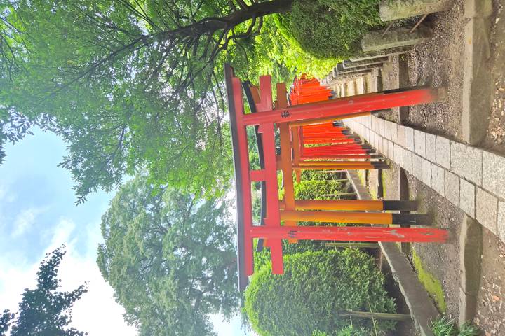 Itinerary Image 7