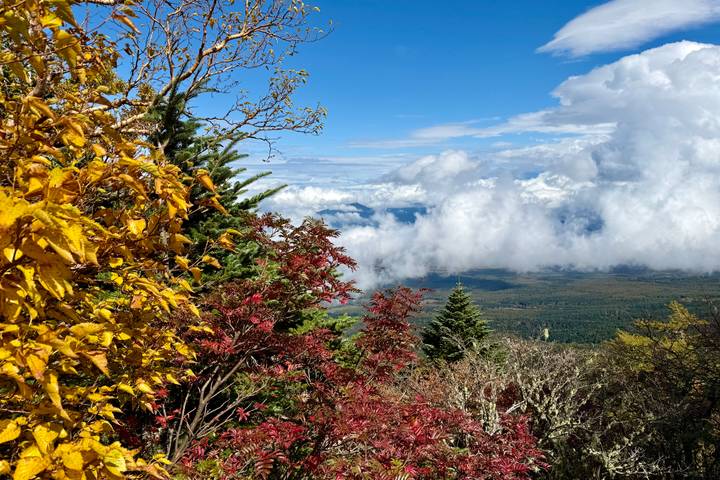Itinerary Image 5
