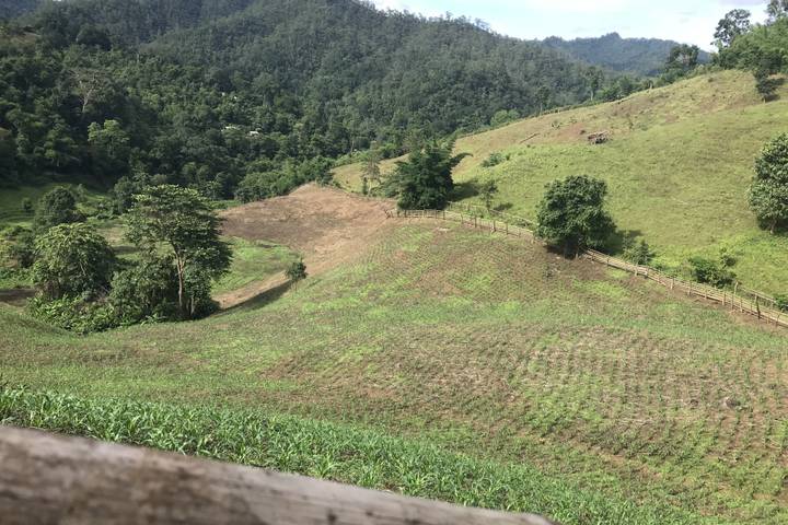 Itinerary Image 2
