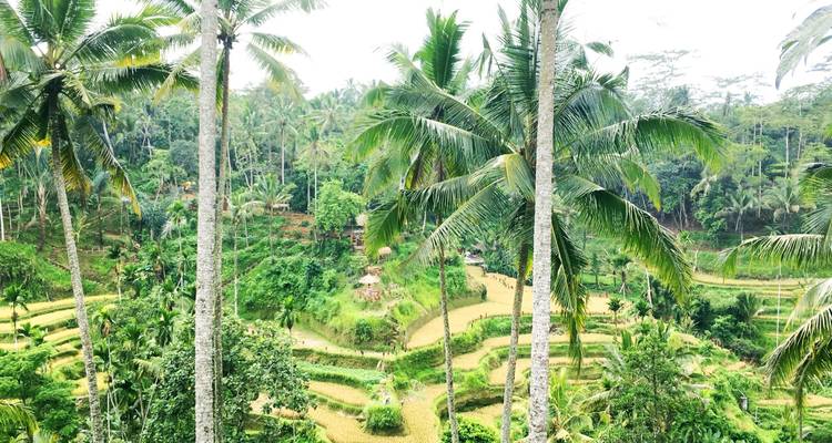 Circuit en groupe à Bali 9 jours/8 nuits | ULTIMATE - Ultimate Travel 6