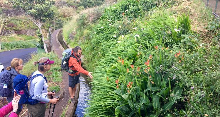 best tour company in madeira