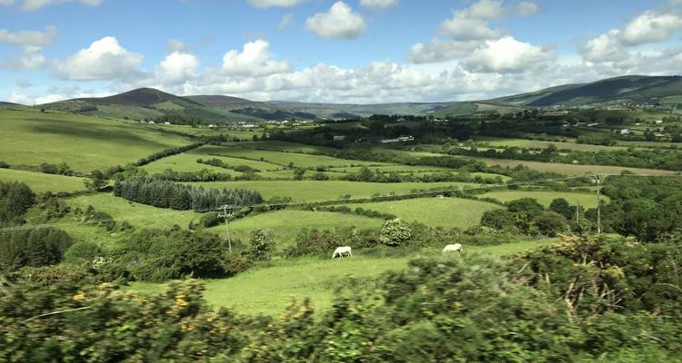 Britain and Ireland Delight (2024/2025, 8 Days) - Costsaver 2