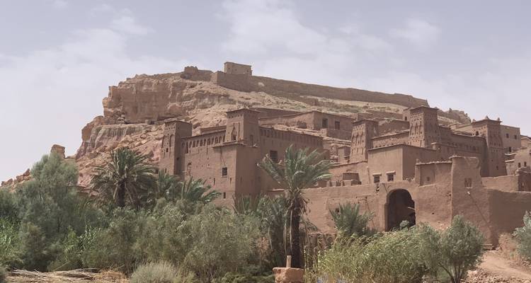 Zicht op een oud fort met palmbomen.