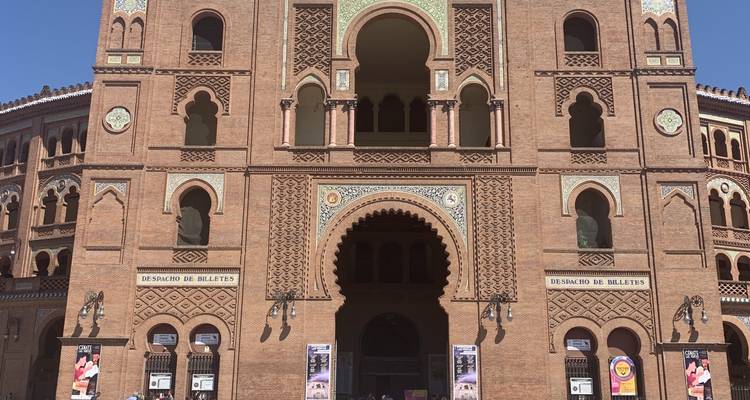 Arènes historiques avec une maçonnerie de briques complexe.