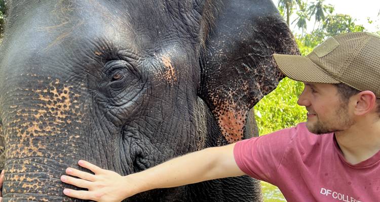 Best Touch of Sri Lanka - Capital Lanka Tours 10