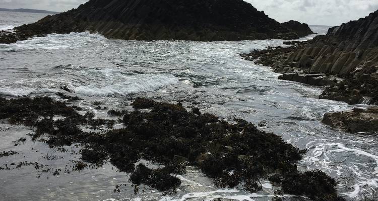 4-Day Magical Mull, Isle of Iona & West Highlands Small-Group Tour from Edinburgh - Rabbie's Tours 4