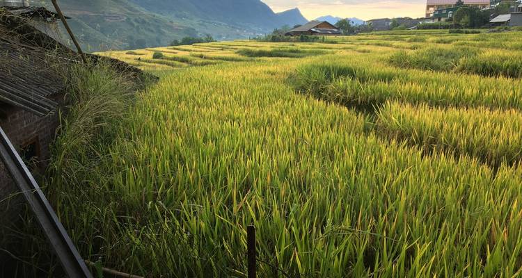 Vietnam : Trek, vélo et kayak (8 destinations) - Intrepid Travel 5
