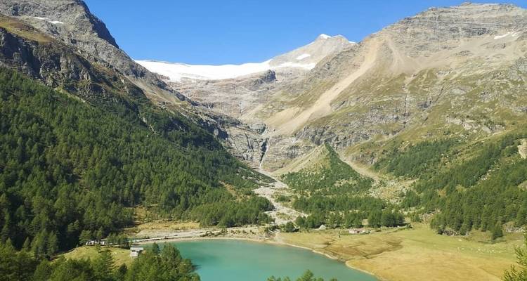 La Suisse Scénique en train - Cosmos 8