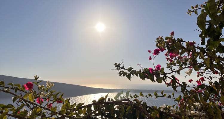 Athènes, Santorin et Mykonos avec 3 visites guidées - Semi- privées avec hôtels 4* - 10 jours - Travel Zone 8