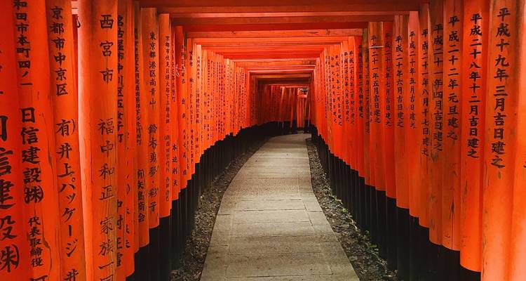 Circuit de 13 jours au Japon : Tokyo, Mont Fuji, Kyoto, Nara, Osaka et au-delà - The Dragon Trip 6