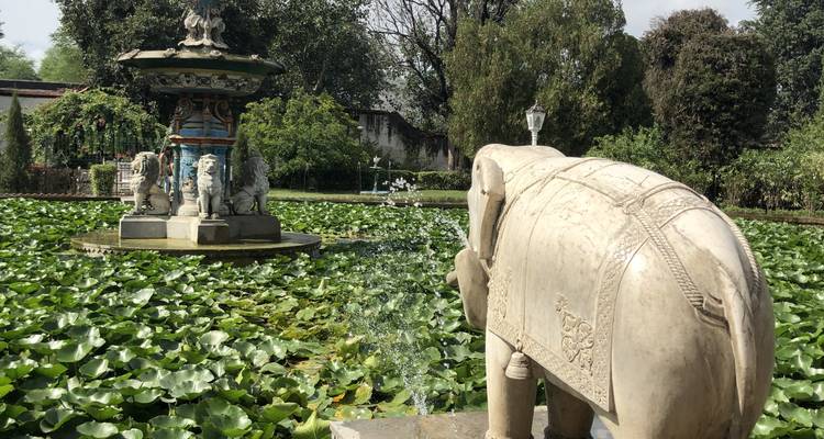 PERSONAS QUE VIAJAN PROFUNDO - hosted by Evelin