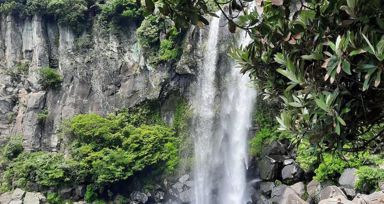 12 jours d'aventure en Corée du Sud : De Séoul à l'île de Jeju - The Dragon Trip 3