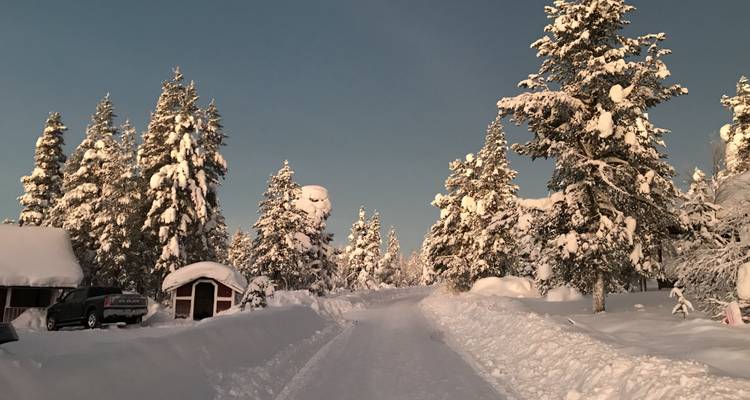 Een besneeuwde pad door bomen met door de zon beschenen sneeuw, wat een warme winterse scène creëert.