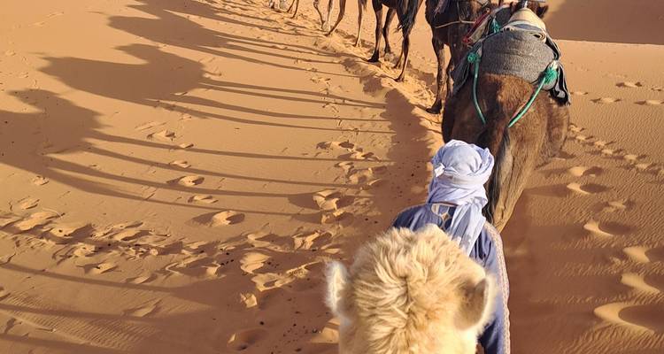 People riding camels through the sand dunes.