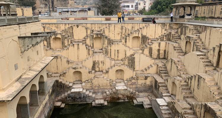Aventuras en Ranthambore: Safari por la naturaleza con el Triángulo de Oro - 7 días - Fragrance of Taj 10
