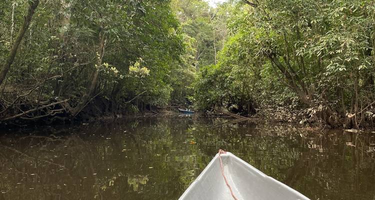 CUYABENO LODGE - Hotel Reviews (Cuyabeno Wildlife Reserve, Ecuador)