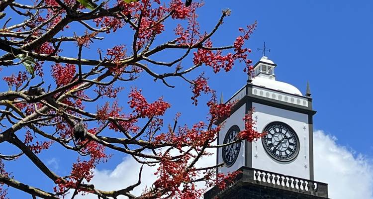 Lo mejor de las Azores: 7 días en São Miguel - Portugal Travel Center 1