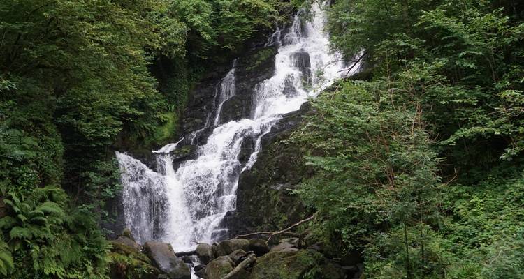 Espectacular circuito de 5 días por el sur y el oeste de Irlanda en grupo reducido - Overland Ireland - Small Group Tours 6