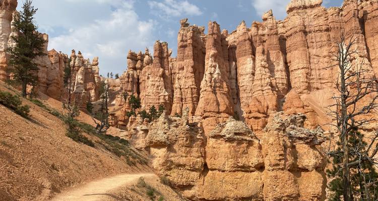 Grand Canyon & südwest Nationalpark Rundreise - 7 Tage - Bindlestiff Tours 10