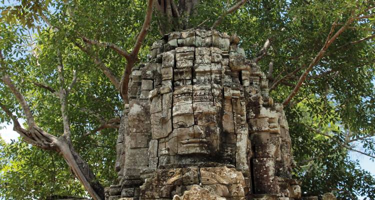 Ancient stone structure with a face carved into it surrounded by trees.
