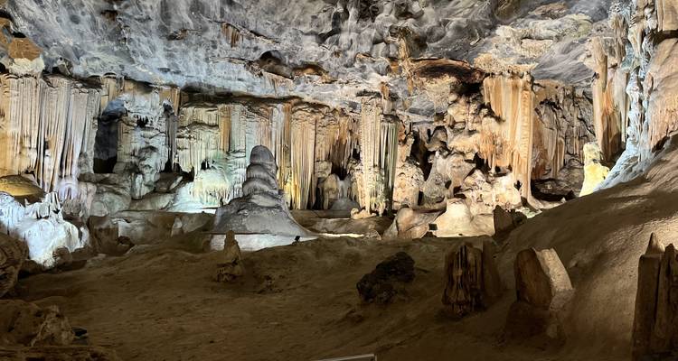3 day Garden Route + Safari Highlights Tour from Cape Town - Hotspots2c 7