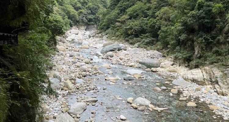 Rocky riverbed in a green valley.