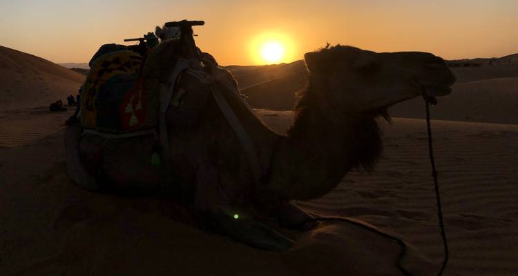 Voyage de 5 jours : Expérience de plein air amusante au Sahara - TouaregTrails 1