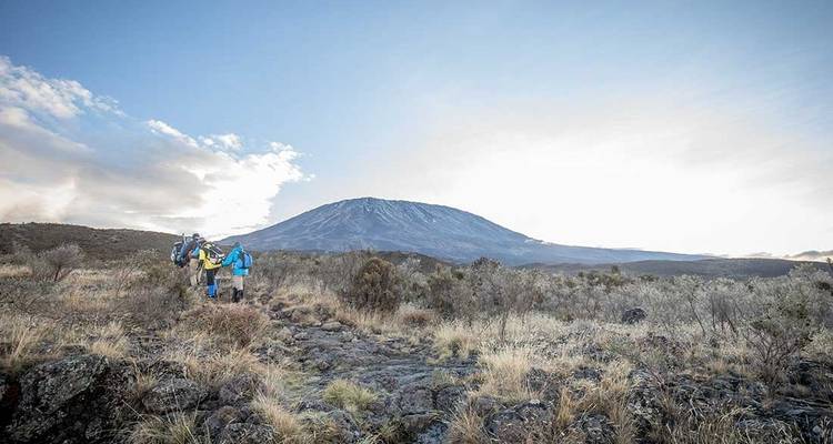 mount kilimanjaro climbing via lemosho route 9 days Tanzania (all accommodation and transport are included) - Spider Tours and Safaris 4