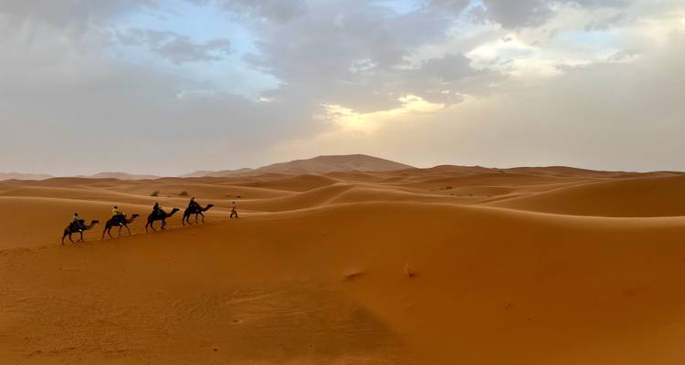 Totally Morocco - 9 days - On The Go Tours 7
