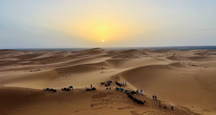 Camel caravan crossing sand dunes at sunset.