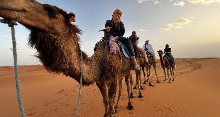 Privé 5 jours de Casablanca à Marrakech en visitant Chefchaouen, Fes et le désert - Cultural Morocco Tours 2