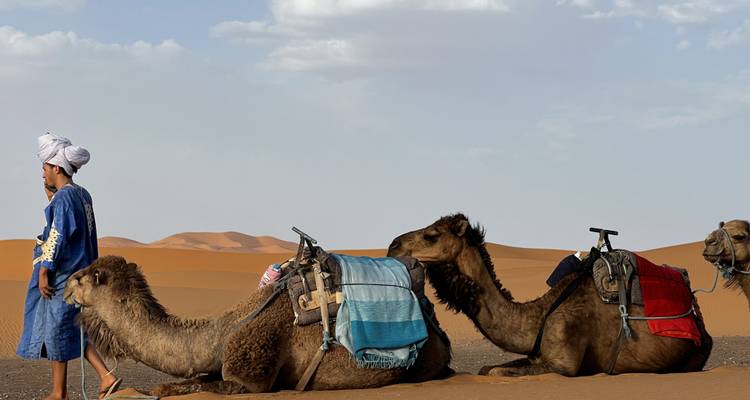 Privé 5 jours de Casablanca à Marrakech en visitant Chefchaouen, Fes et le désert - Cultural Morocco Tours 4